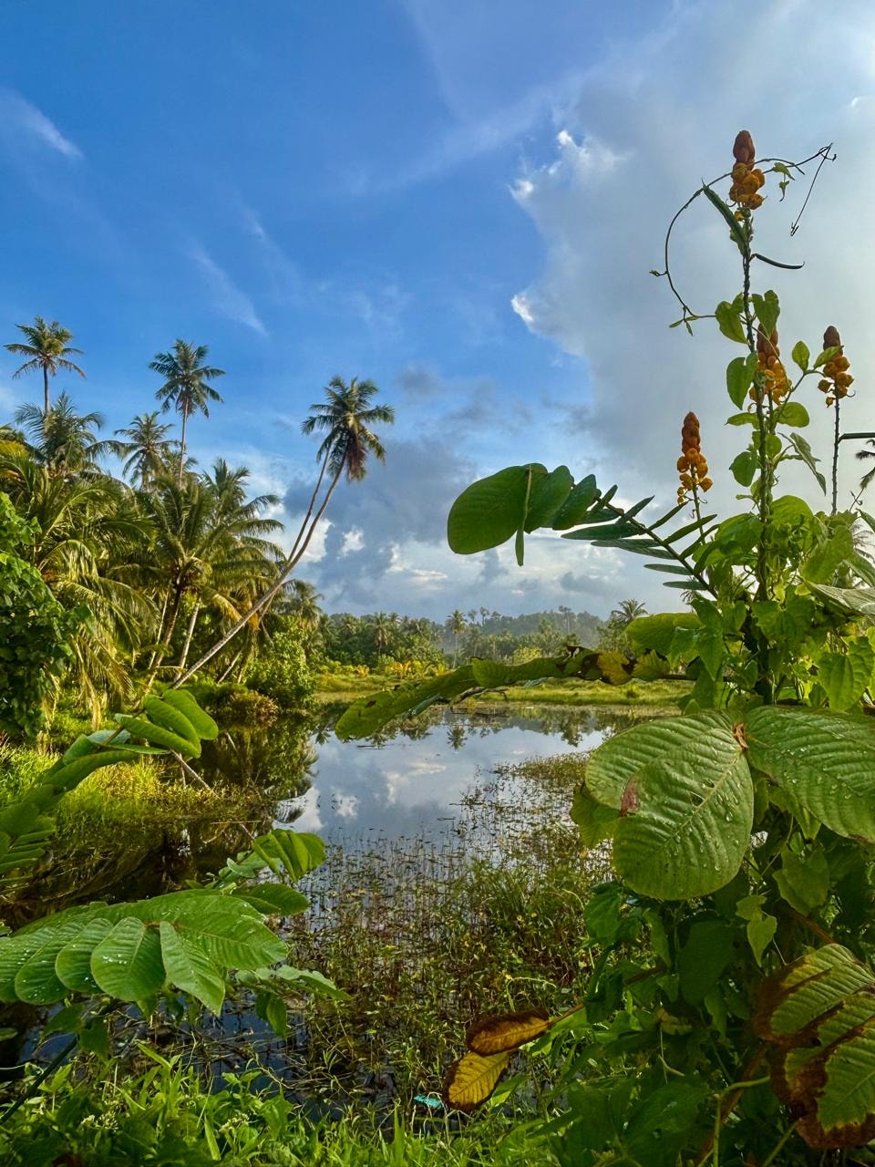 Eco & Nature