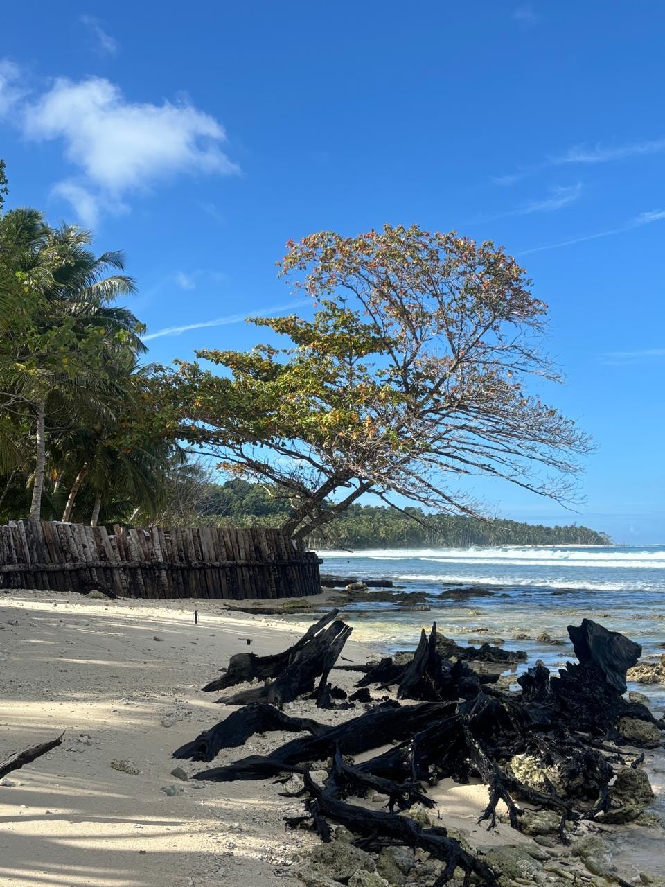 Beachfront property photo 1